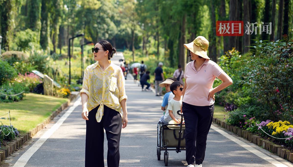 缅甸银钻娱乐合法吗